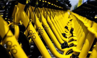 ofo 回應異?？圪M 抖音回應廣告業務被停 余額寶總規模達 1.8 萬億元